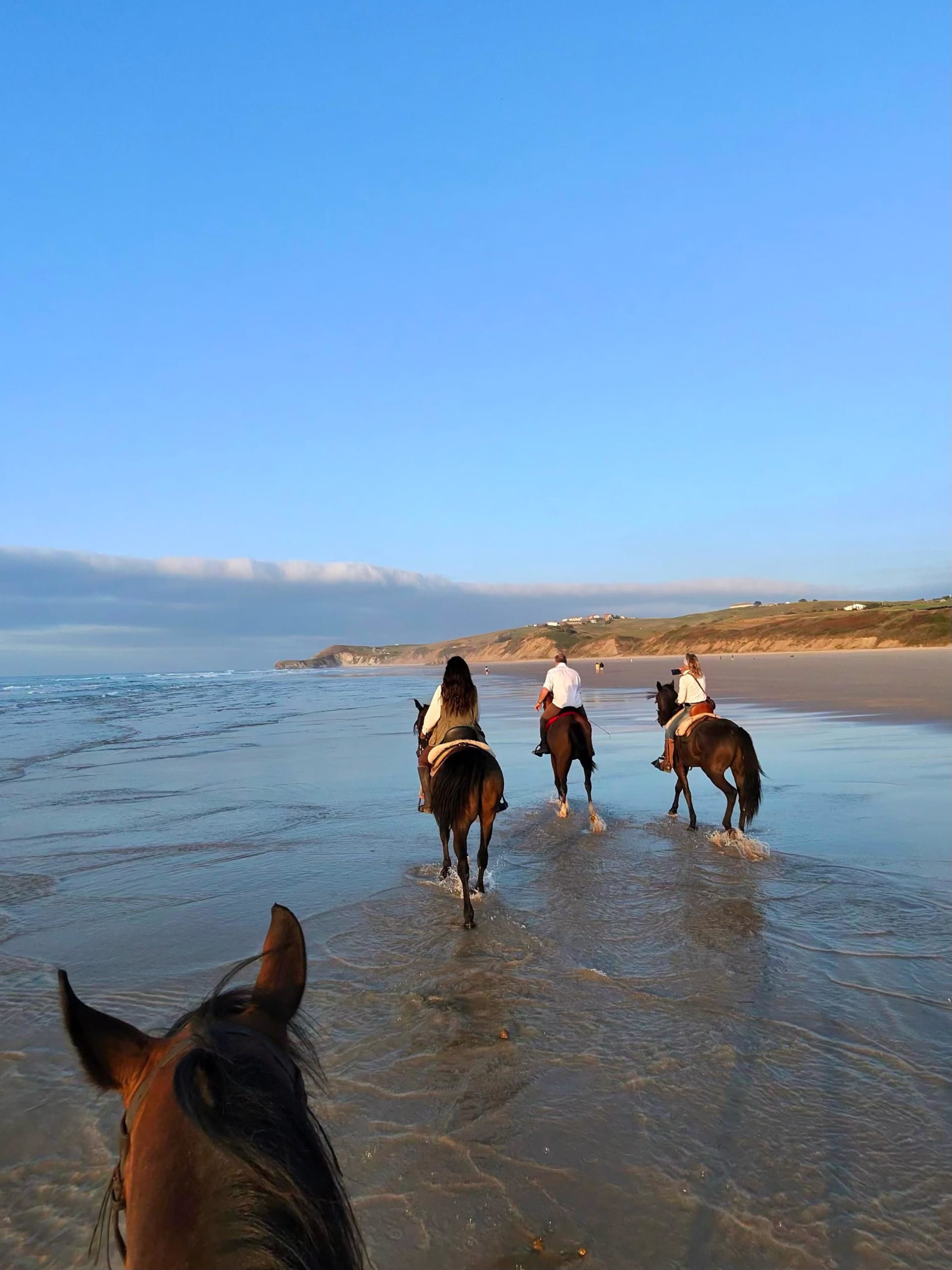 A group of riders cantering through the shallows